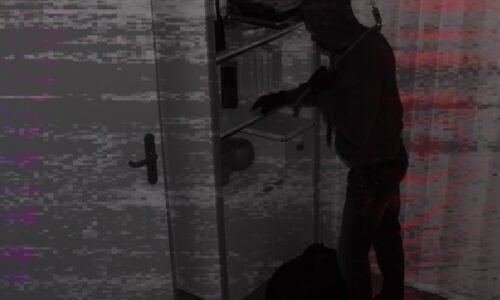 El Hurto en el Derecho Penal Colombiano