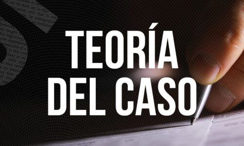 Teoría del caso