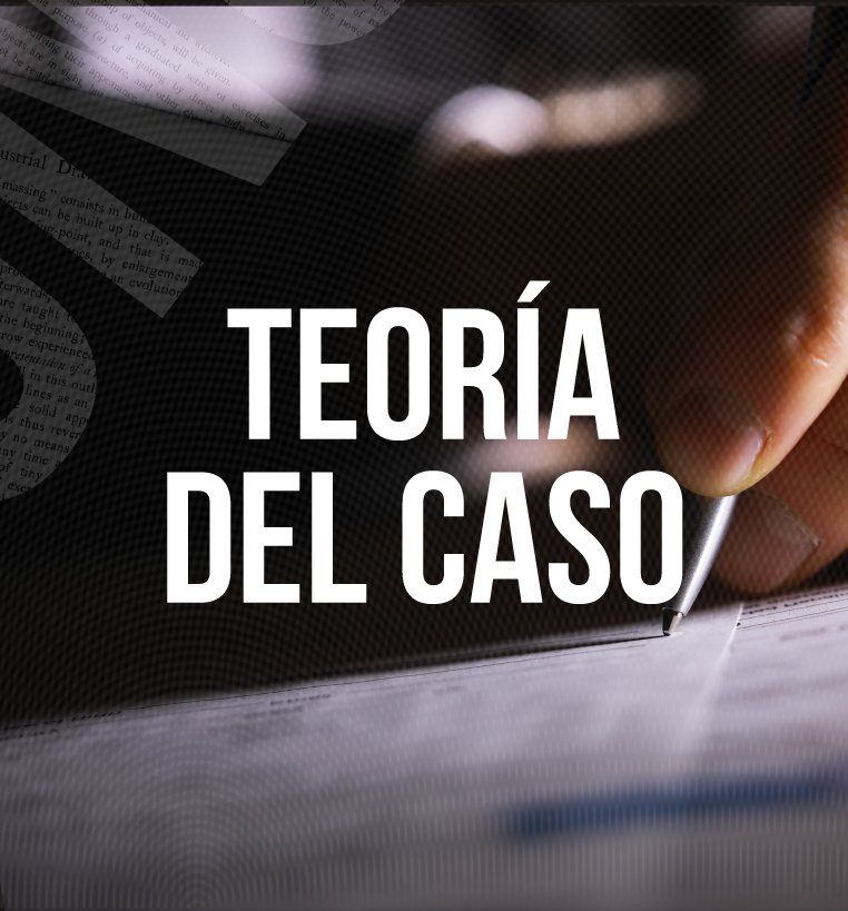 Teoría del caso