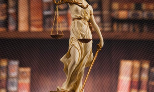 Acción de revisión