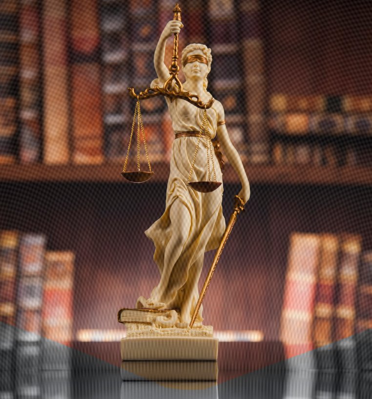 Acción de revisión